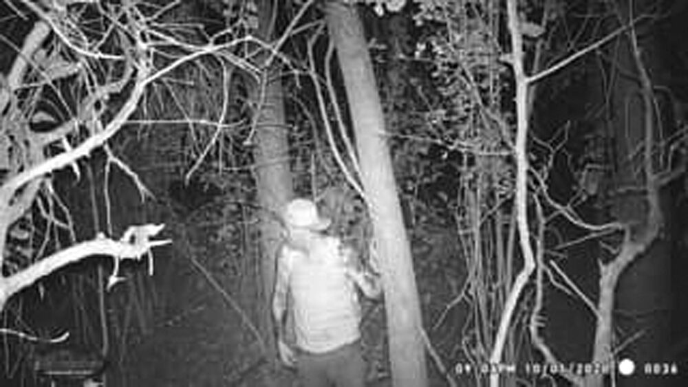 Suspect being sought